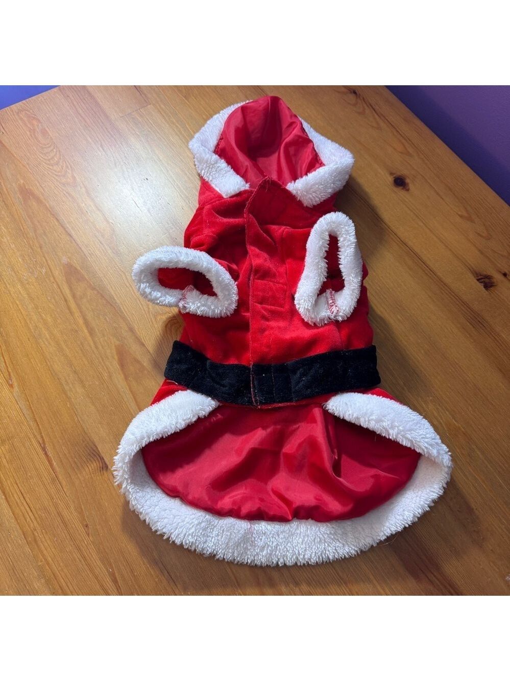 Santa dog costume